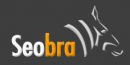 Seobra - s�kemotoroptimalisering