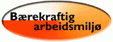 Bærekraftig Arbeidsmiljø